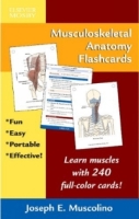 Musculoskeletal Anatomy Flashcards артикул 13729d.